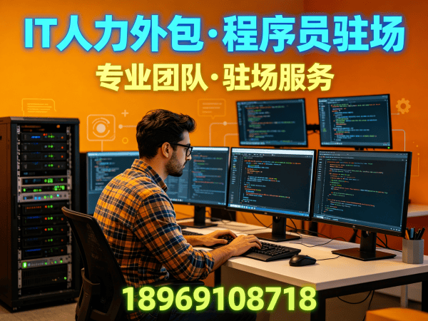 常州IT人力外包解决方案：算法工程师程序员驻场开发高效解决企业技术人才缺口