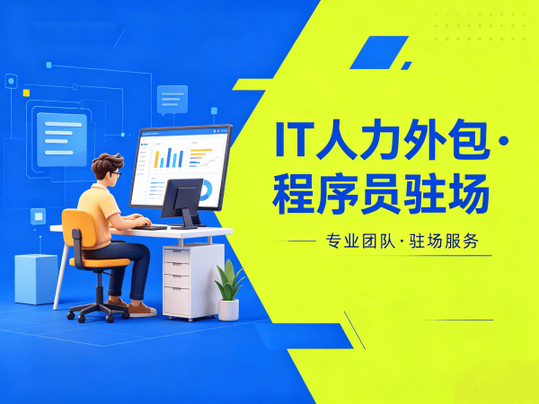 合肥IT人力外包解决方案：Go开发程序员驻场服务，解决企业技术人才缺口